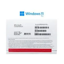 WINDOWS 11 PROFESIONAL 64BITS OEM
